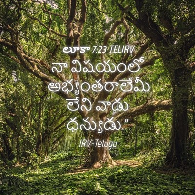 Picture 04 - లూకా 7:23 TELIRV - నా విషయంలో - Bible Verse Picture