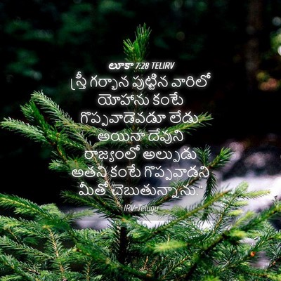 Picture 04 - లూకా 7:28 TELIRV - స్త్రీ గర్భాన - Bible Verse Picture