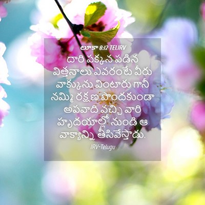 Picture 04 - లూకా 8:12 TELIRV - దారి పక్కన పడిన - Bible Verse Picture