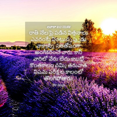 Picture 04 - లూకా 8:13 TELIRV - రాతి నేలపై పడిన - Bible Verse Picture