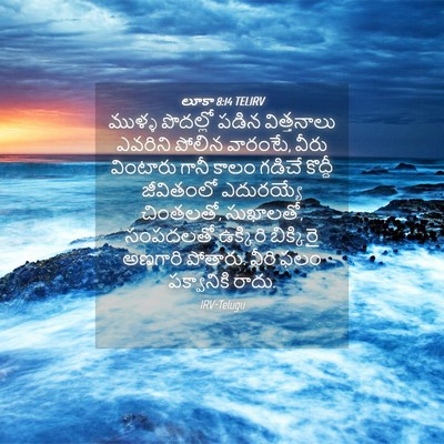 Picture 04 - లూకా 8:14 TELIRV - ముళ్ళ పొదల్లో - Bible Verse Picture