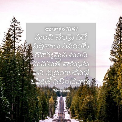 Picture 04 - లూకా 8:15 TELIRV - మంచి నేలపై పడే - Bible Verse Picture