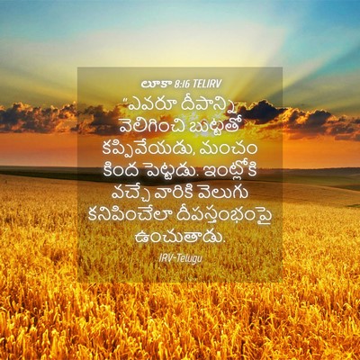 Picture 04 - లూకా 8:16 TELIRV - “ఎవరూ దీపాన్ని - Bible Verse Picture