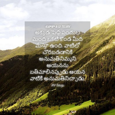 Picture 04 - లూకా 8:32 TELIRV - అక్కడ పెద్ద పందుల - Bible Verse Picture