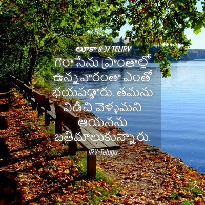 Picture 04 - లూకా 8:37 TELIRV - గెరాసేను - Bible Verse Picture