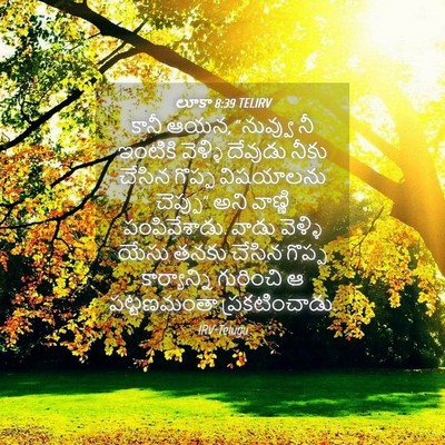 Picture 04 - లూకా 8:39 TELIRV - కానీ ఆయన, “నువ్వు - Bible Verse Picture