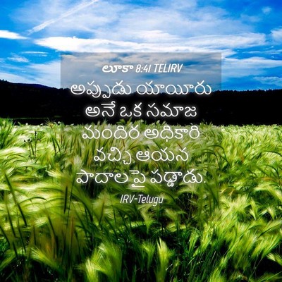 Picture 04 - లూకా 8:41 TELIRV - అప్పుడు యాయీరు - Bible Verse Picture