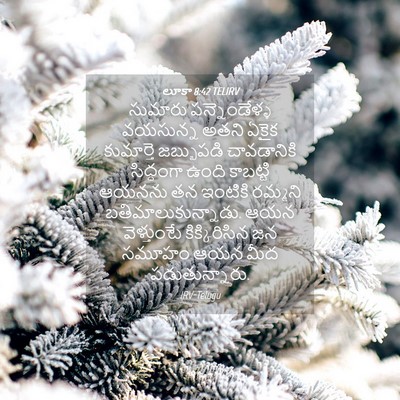 Picture 04 - లూకా 8:42 TELIRV - సుమారు - Bible Verse Picture