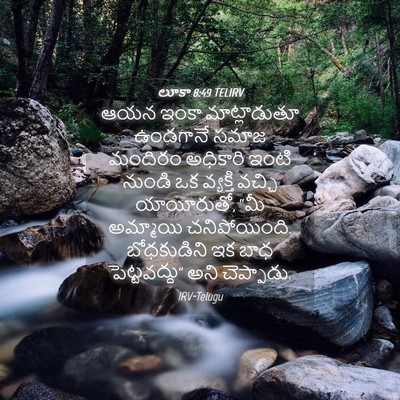 Picture 04 - లూకా 8:49 TELIRV - ఆయన ఇంకా - Bible Verse Picture