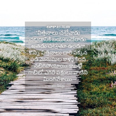 Picture 04 - లూకా 8:5 TELIRV - “విత్తనాలు - Bible Verse Picture
