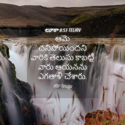 Picture 04 - లూకా 8:53 TELIRV - ఆమె చనిపోయిందని - Bible Verse Picture