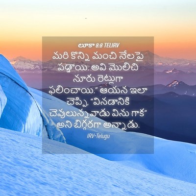 Picture 04 - లూకా 8:8 TELIRV - మరి కొన్ని మంచి - Bible Verse Picture
