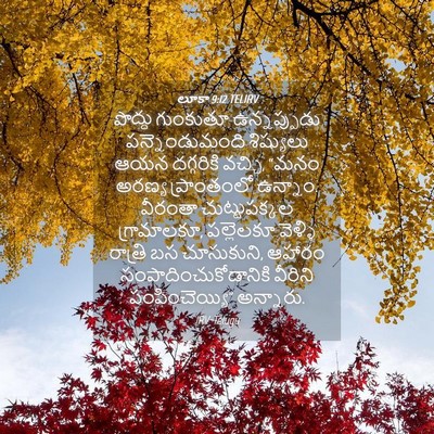 Picture 04 - లూకా 9:12 TELIRV - పొద్దు గుంకుతూ - Bible Verse Picture