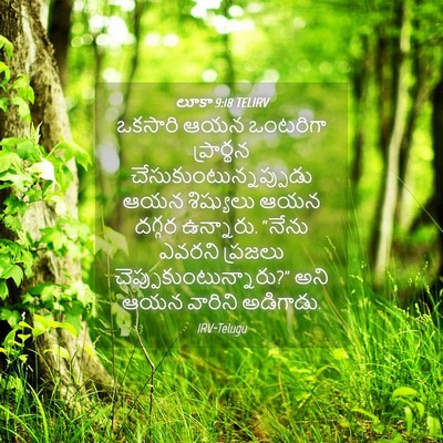 Picture 04 - లూకా 9:18 TELIRV - ఒకసారి ఆయన - Bible Verse Picture