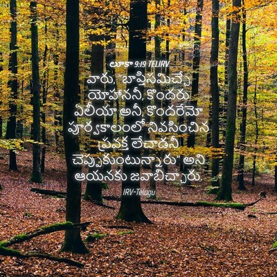 Picture 04 - లూకా 9:19 TELIRV - వారు, - Bible Verse Picture