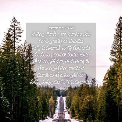 Picture 04 - లూకా 9:26 TELIRV - నన్ను గూర్చీ నా - Bible Verse Picture