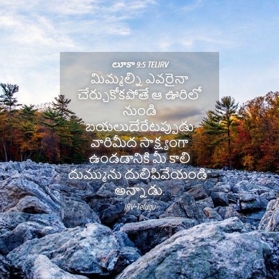 Picture 04 - లూకా 9:5 TELIRV - మిమ్మల్ని ఎవరైనా - Bible Verse Picture