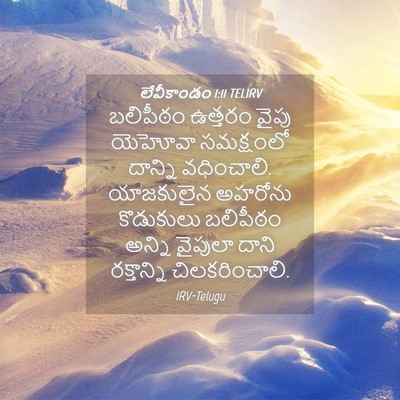 Picture 04 - లేవీకాండం 1:11 TELIRV - బలిపీఠం ఉత్తరం - Bible Verse Picture