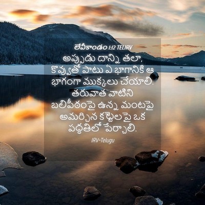 Picture 04 - లేవీకాండం 1:12 TELIRV - అప్పుడు దాన్ని - Bible Verse Picture