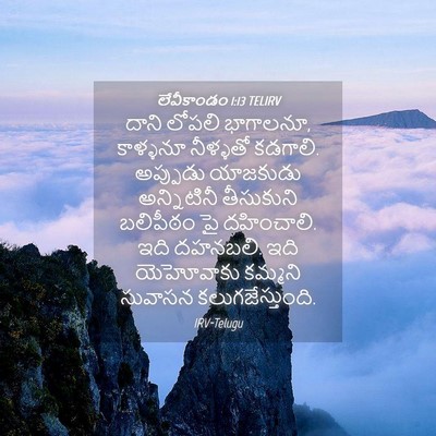Picture 04 - లేవీకాండం 1:13 TELIRV - దాని లోపలి - Bible Verse Picture