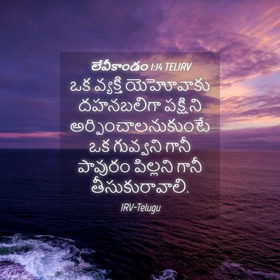 Picture 04 - లేవీకాండం 1:14 TELIRV - ఒక వ్యక్తి - Bible Verse Picture