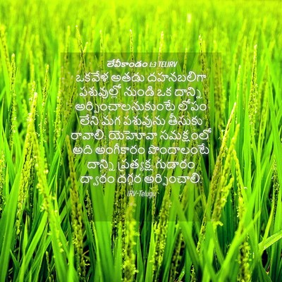Picture 04 - లేవీకాండం 1:3 TELIRV - ఒకవేళ అతడు - Bible Verse Picture