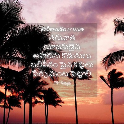 Picture 04 - లేవీకాండం 1:7 TELIRV - తరువాత యాజకుడైన - Bible Verse Picture