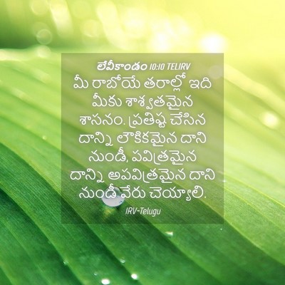 Picture 04 - లేవీకాండం 10:10 TELIRV - మీ రాబోయే తరాల్లో - Bible Verse Picture