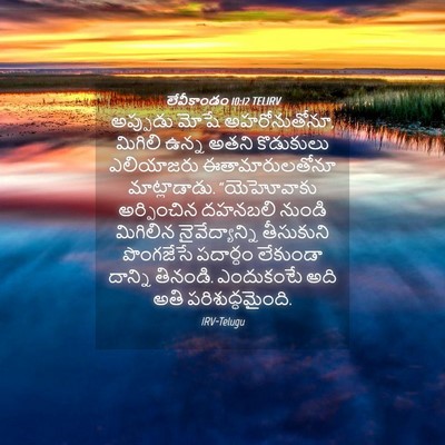 Picture 04 - లేవీకాండం 10:12 TELIRV - అప్పుడు మోషే - Bible Verse Picture