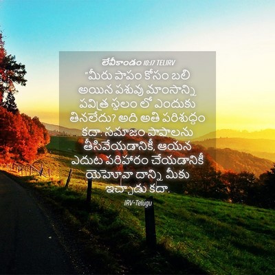 Picture 04 - లేవీకాండం 10:17 TELIRV - “మీరు పాపం కోసం - Bible Verse Picture