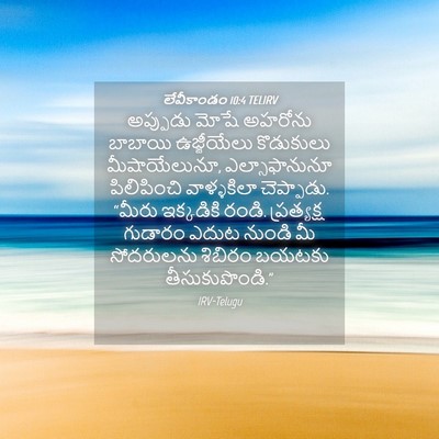 Picture 04 - లేవీకాండం 10:4 TELIRV - అప్పుడు మోషే - Bible Verse Picture