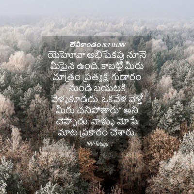 Picture 04 - లేవీకాండం 10:7 TELIRV - యెహోవా అభిషేకపు - Bible Verse Picture