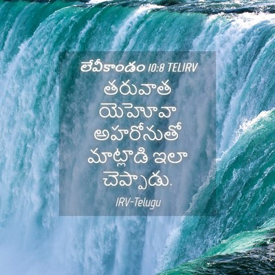 Picture 04 - లేవీకాండం 10:8 TELIRV - తరువాత యెహోవా - Bible Verse Picture