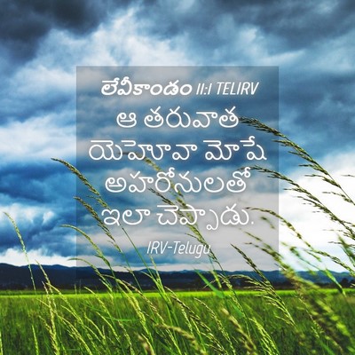 Picture 04 - లేవీకాండం 11:1 TELIRV - ఆ తరువాత యెహోవా - Bible Verse Picture
