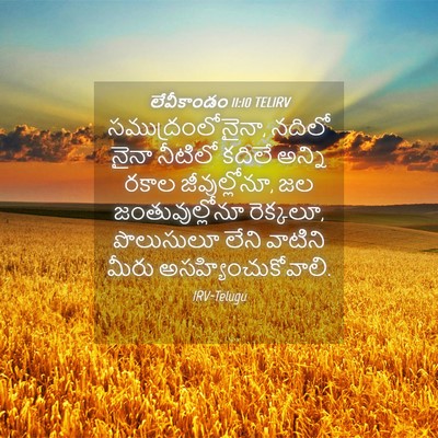 Picture 04 - లేవీకాండం 11:10 TELIRV - సముద్రంలోనైనా, - Bible Verse Picture