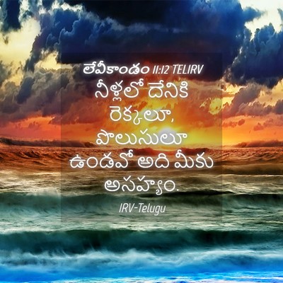 Picture 04 - లేవీకాండం 11:12 TELIRV - నీళ్లలో దేనికి - Bible Verse Picture