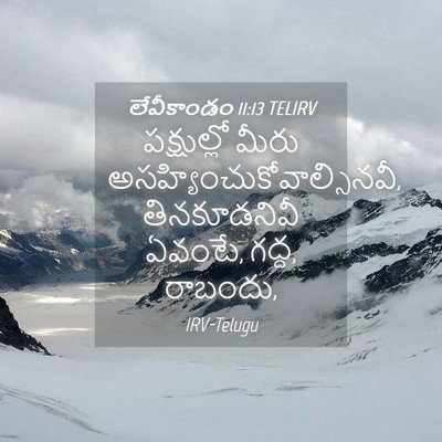 Picture 04 - లేవీకాండం 11:13 TELIRV - పక్షుల్లో మీరు - Bible Verse Picture