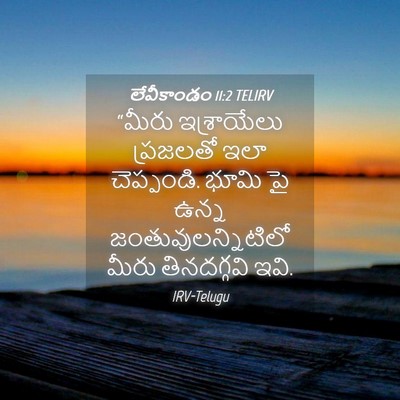 Picture 04 - లేవీకాండం 11:2 TELIRV - “మీరు ఇశ్రాయేలు - Bible Verse Picture