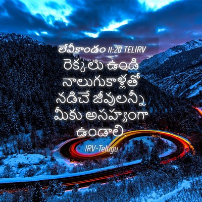 Picture 04 - లేవీకాండం 11:20 TELIRV - రెక్కలు ఉండి - Bible Verse Picture