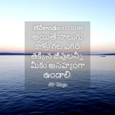 Picture 04 - లేవీకాండం 11:23 TELIRV - అయితే నాలుగు - Bible Verse Picture