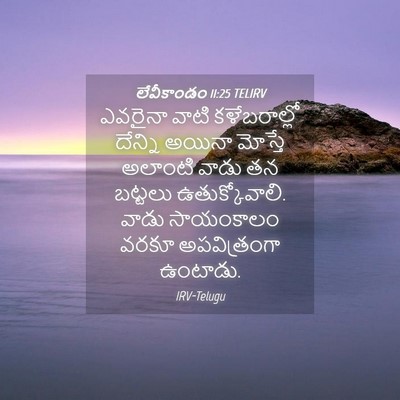 Picture 04 - లేవీకాండం 11:25 TELIRV - ఎవరైనా వాటి - Bible Verse Picture