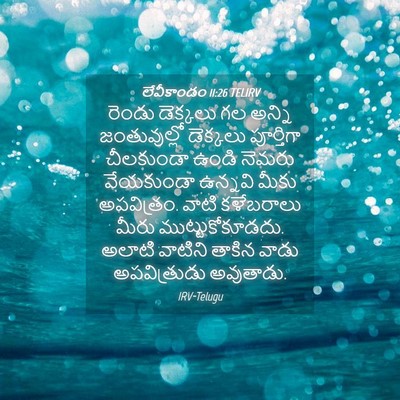 Picture 04 - లేవీకాండం 11:26 TELIRV - రెండు డెక్కలు గల - Bible Verse Picture