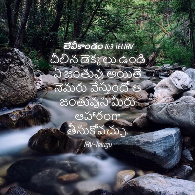 Picture 04 - లేవీకాండం 11:3 TELIRV - చీలిన డెక్కలు - Bible Verse Picture