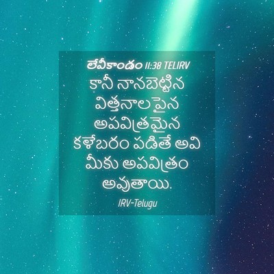 Picture 04 - లేవీకాండం 11:38 TELIRV - కానీ నానబెట్టిన - Bible Verse Picture