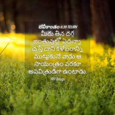 Picture 04 - లేవీకాండం 11:39 TELIRV - మీరు తిన దగ్గ - Bible Verse Picture