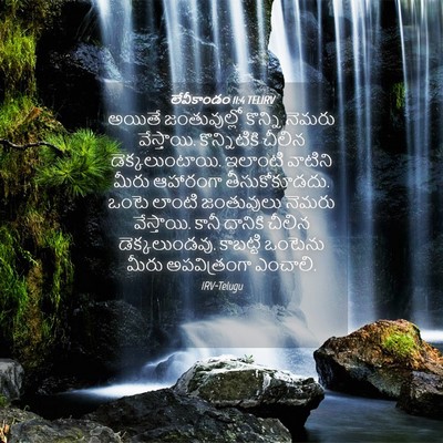 Picture 04 - లేవీకాండం 11:4 TELIRV - అయితే జంతువుల్లో - Bible Verse Picture