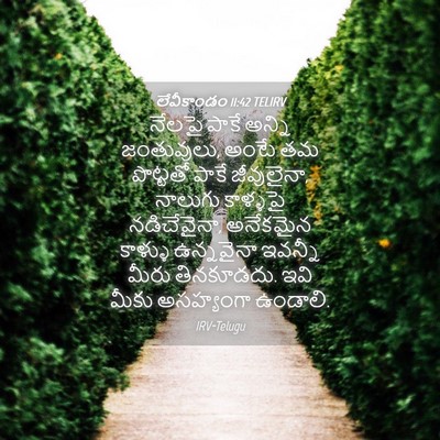 Picture 04 - లేవీకాండం 11:42 TELIRV - నేలపై పాకే అన్ని - Bible Verse Picture