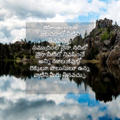Picture 04 - లేవీకాండం 11:9 TELIRV - జలచరాల్లో వీటిని - Bible Verse Picture