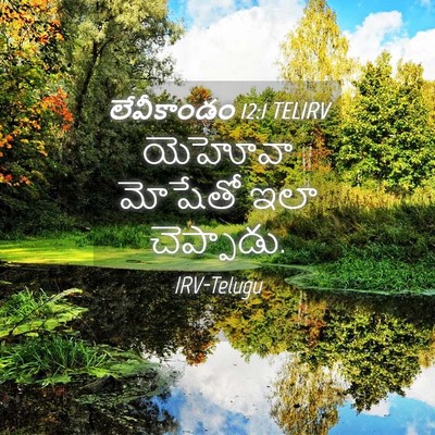 Picture 04 - లేవీకాండం 12:1 TELIRV - యెహోవా మోషేతో ఇలా - Bible Verse Picture