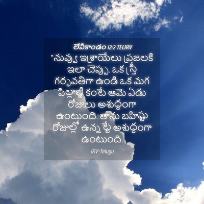 Picture 04 - లేవీకాండం 12:2 TELIRV - “నువ్వు ఇశ్రాయేలు - Bible Verse Picture